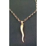 9 ct gold chain and pendant, approx 50 cm long, 7.