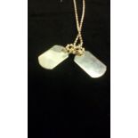 Silver dog tag and neck chain