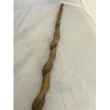 A curled wood walking stick