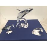 A boxed Swarovski Paikea whale;