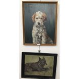 Two oils on board of dog studies, one signed Hazel Chapple, the other with initials PS,