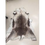 A deer skin rug