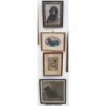 Four pictures of canine subjects to include original examples & printed works after Aldin etc,