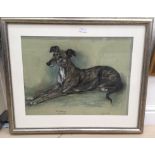 Marjorie Cox (1915-2003): Study of a lurcher, 'Flashy', mixed media, signed & dated '68,