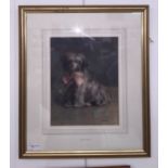 Edith Teall (19th/20th century): 'Raggs', terrier study, watercolour, signed lower right,