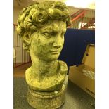 A stone garden bust of David