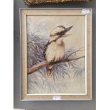 Neville William Cayley (Australian, 1886-1950): Kookaburra study, watercolour, signed,