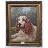 A M Mossman (20th century): Portrat of a spaniel, oil on board, signed lower right, inscribed verso,