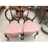 A pair of victorian mahogany parlour chairs
