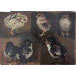 English School (19th century): Study of chicks, oil on card,