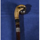 A walking cane with bowling ball handle and silver collar