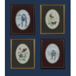 Four framed prints of butterflies and curling scenes
