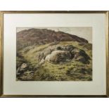A framed watercolour depicting sheep sheltering 34.5 x 50cm