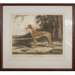 A framed lithograph of Greta Ranee winner of the Greyhound Derby 1935. Image size 33cm x 39cm