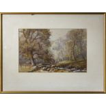 A watercolour of sheep in woodland (Irish) J.H.Cra**. 26 x 39cm