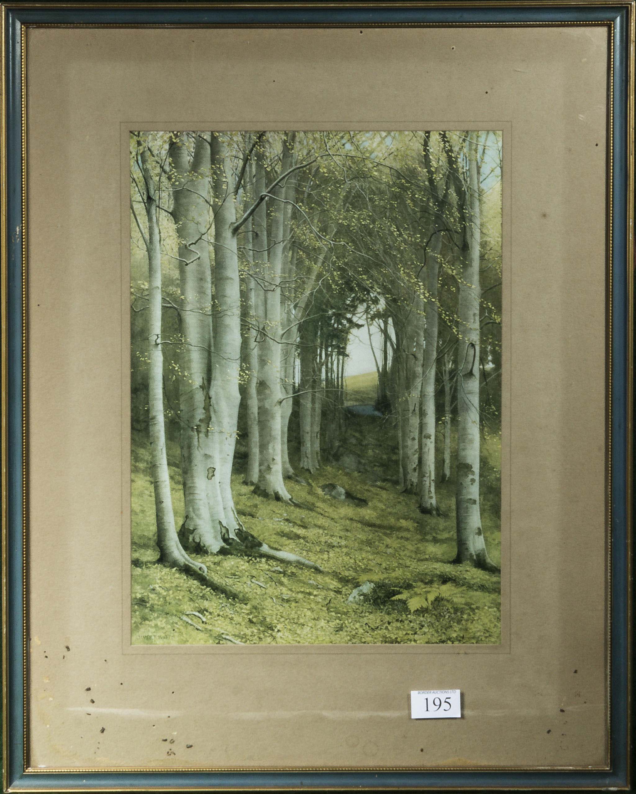 A framed print of a forest scene, image size 40cm x 29cm