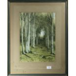 A framed print of a forest scene, image size 40cm x 29cm