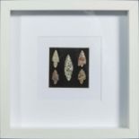 Framed 6000 year old Neolithic arrow heads found in the northern Sahara desert.