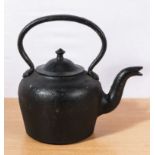 Cast iron kettle