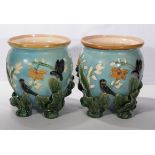 A pair of Majolica jardinières