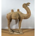 A large Tang dynasty style camel