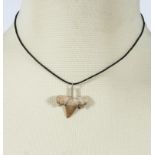 Fossil shark tooth pendant