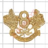 Australia. 8th Infantry Regiment brass badge.Die-cast.Brigg Land & King 378 R.O. PlaceLoopsVGC