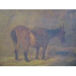 19th Century British School, study of a horse in a stable, oil on canvas, 10 x 12, framed