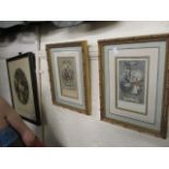 A group of fire spectator and three Tattler 18th century coloured engravings 6 5/8 x 3 5/8,