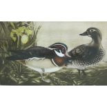 ‡JACK COUTU (b. 1924)Wood Duck and Drakecoloured etchingpencil signed, inscribed and numbereddated