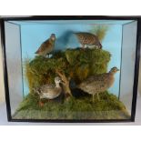 A Cased Taxidermy Diorama, Woodcock, Hen Pheasant, Partridge and Duck.