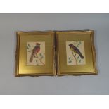 A Pair of Late 19th Century Gilt Framed Collages of Birds Formed From Real Feathers.