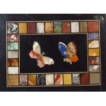 A 19th Century Florentine Pietra Dura Panel Depicting 2 Butterflies Inside Rectangular Border 14.