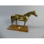 A Cast Brass Model of a Horse Set on Wooden Plinth, 19.