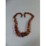 A Raw Amber Chip Necklace. 70cm Long Approx 84.5gms.