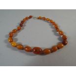 A String of Victorian Butterscotch and Darker Amber Beads.