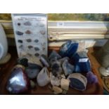 A Collection of Specimen Rocks,