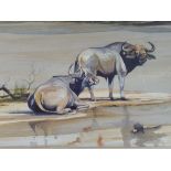 A Framed African Water Colour Depicting Water Buffalo Signed Allan Carter,