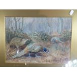 A Framed Lithograph Depicting Pheasants in Woodlands Signed JE Harrison 1920