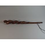 A Barley Twist Irish Root Wood Shillelagh