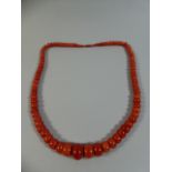 A Heavy 1930s Chinese Red Coral Graduated Bead Necklace with Barrel Clasp. 75cms Long.