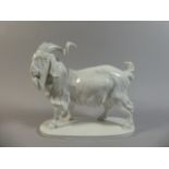 A Large Meissen Cream Ware Study of a Standing Goat on Oval Plinth Base with Underglazed Cross