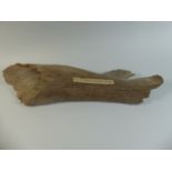 Two Mammoth Bones,