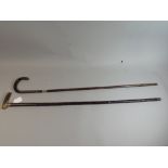 Two Silver Mounted Walking Canes