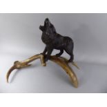 A 19th Century Black Forest Carved Wolf Mounted on a Deer Antler Stand.