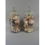 A Pair of Early 20th Century Confectionery Jars containing a Collection of Sea Shells.