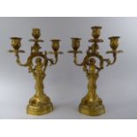 A Pair of Continental Gilt Bronze Three Branch Figural Candlesticks decorated with Cherubs Holding