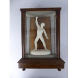 A 19th Century Plaster Cast Ecorche Figure After Jean Antoine Houdon in a Glazed Oak Display Box.