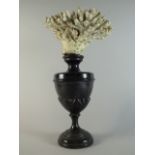 An Early 20th Century Continental Coral Display Mounted on a Composition Classical Urn.