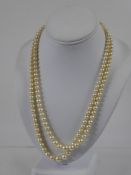 A Lady's Double Strand Pearl Necklace, the graduated pearl necklace held together with a 9ct gold
